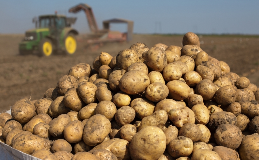 Patates nisan ayının zam şampiyonu oldu