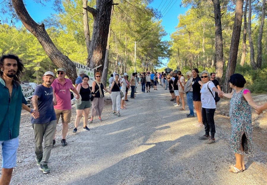 Akbelen ormanı için geç değil...