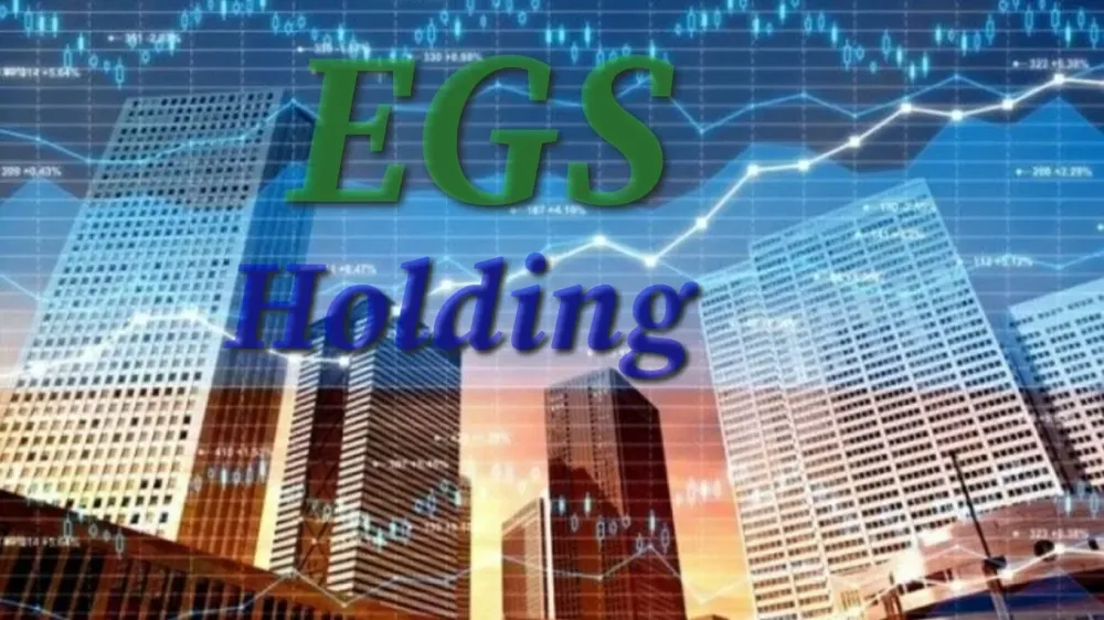 EGS Holding iflas etti