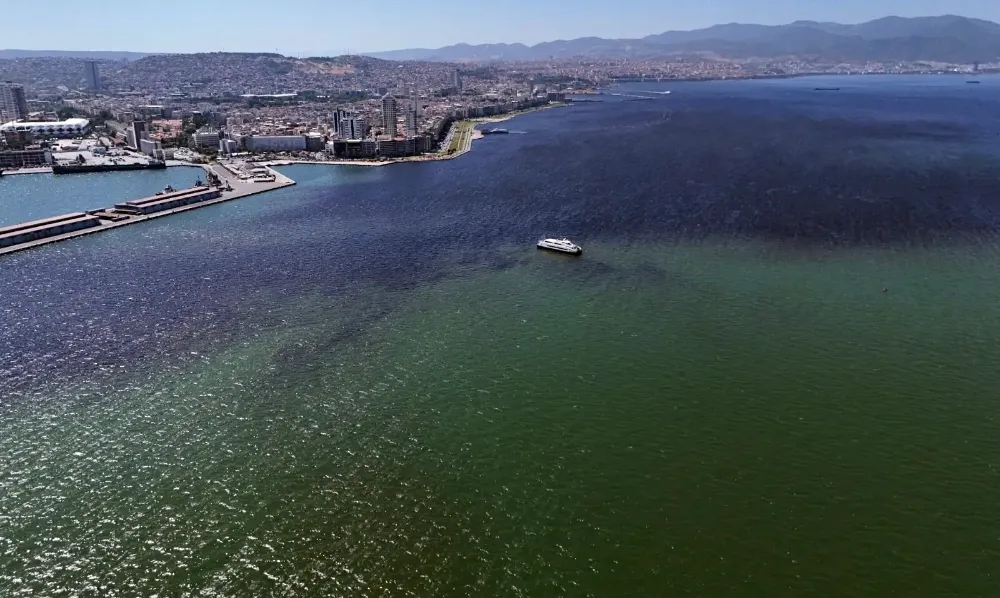 İzmir Körfezi’ndeki ölümlere ayrıntılı inceleme