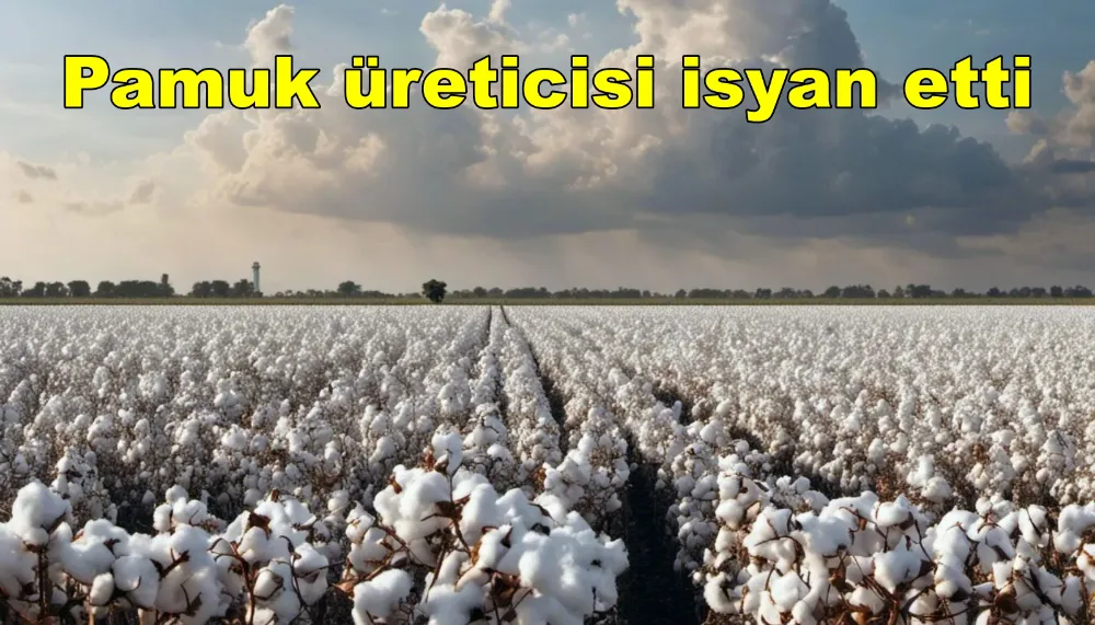 Maliyet 29 TL, 26 TL