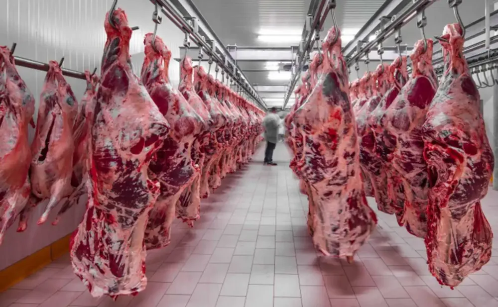 Market ve kasaplarda et fiyatları iki katına çıktı