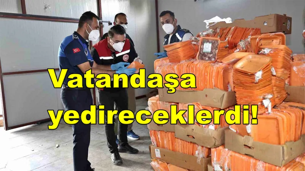 25 ton bozuk tavuk eti ele geçirildi