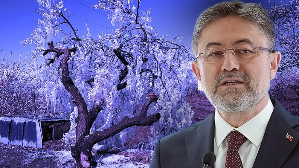 Stratejik ürünler, zirai dondan etkilenmedi