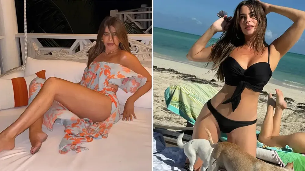 Güngör, Sofia Vergara’nın üstsüz pozunu beğenince... 