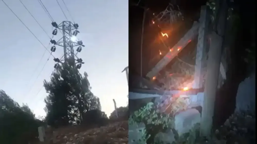 Elektrik şirketleri kar ederken ormanlar küle dönüyor