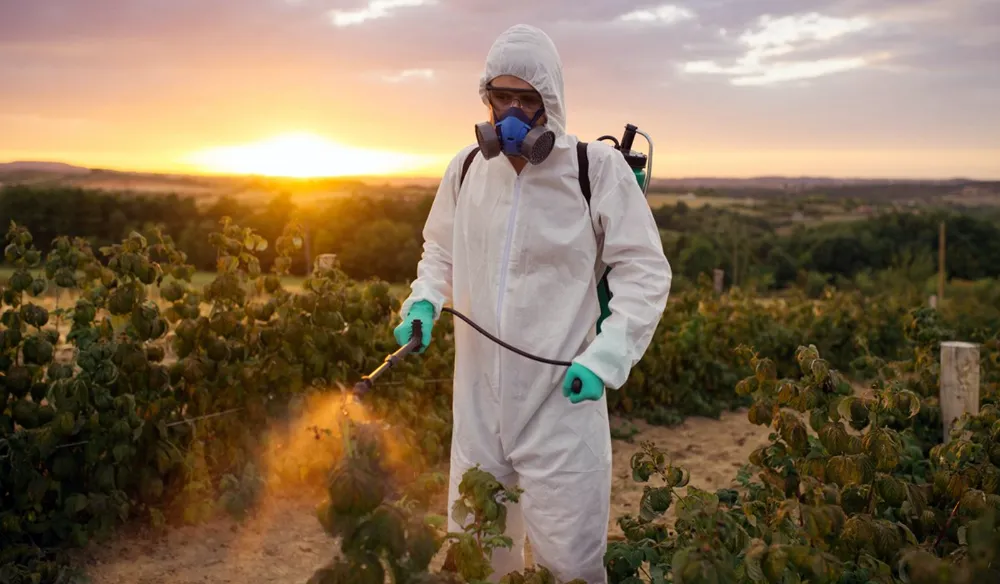 Pestisitlerde reçete uygulaması başlıyor