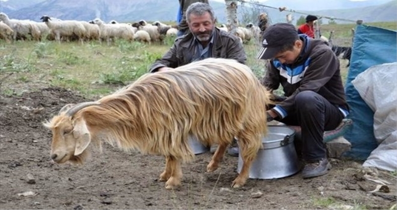 Tunceli