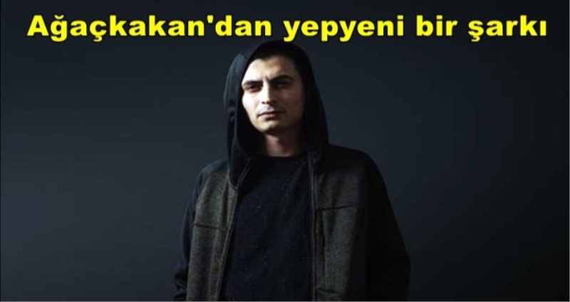 Ağaçkakan
