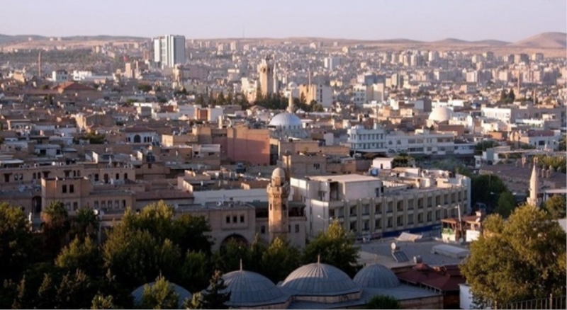 Damadı daire başkanı oldu
