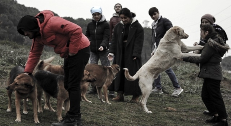 Öğrenciler sürgün köpekleri besledi