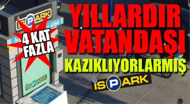 Sayıştay, İSPARK vurgununu ortaya çıkardı