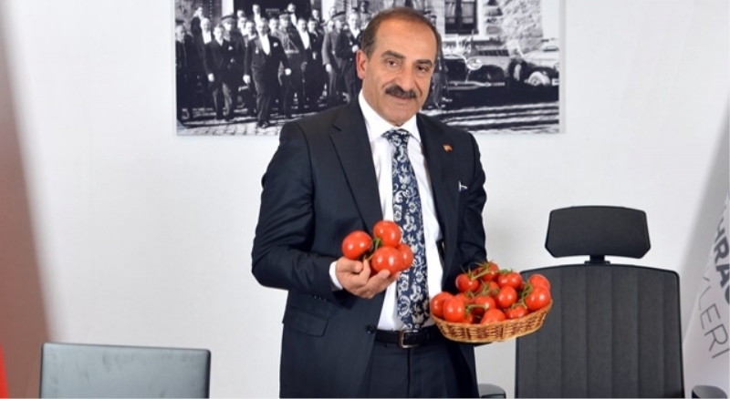 İhracatın yıldızı domates oldu