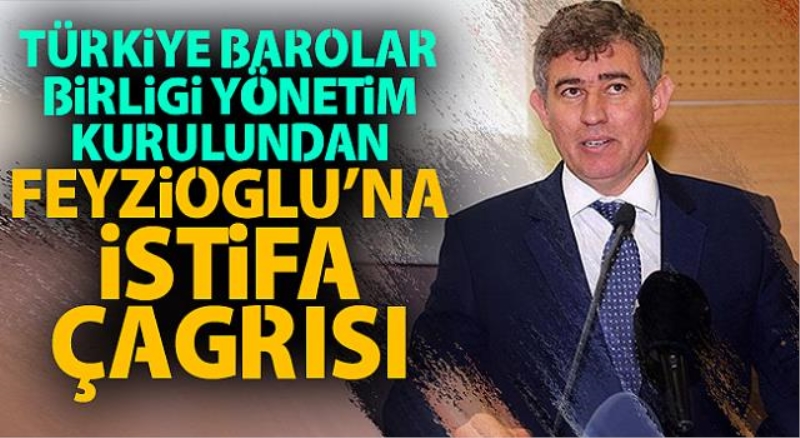 Metin Feyzioğlu