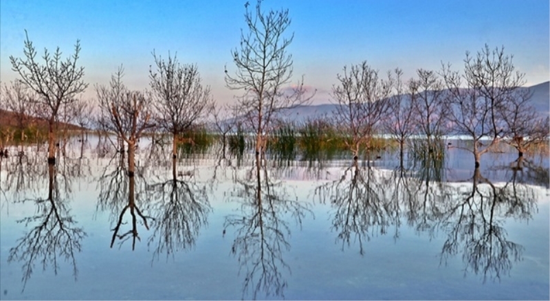 Elazığ