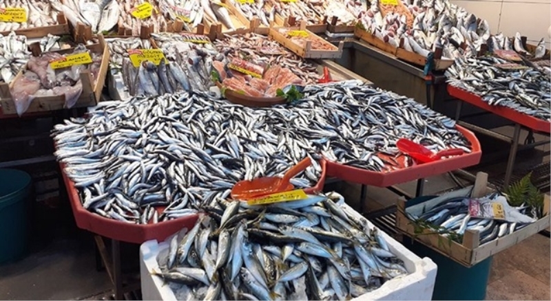 Balık fiyatı cep yakıyor