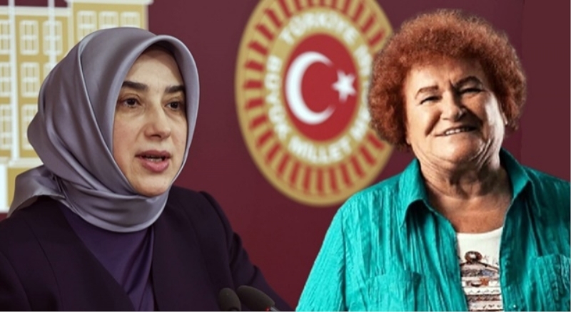 Selda Bağcan’dan ‘çıplak arama’ tepkisi
