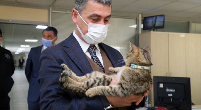 Leo, Gölbaşı Belediyesi’nin maskotu oldu…