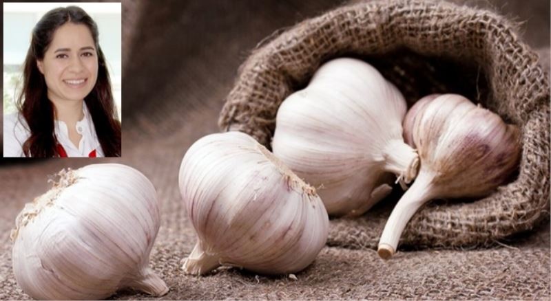 Doğal antibiyotik sarımsak
