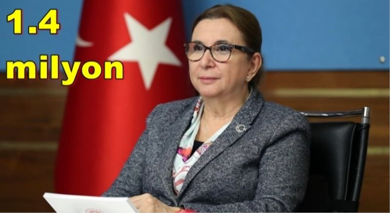 Şirketine devlet desteği verilmiş
