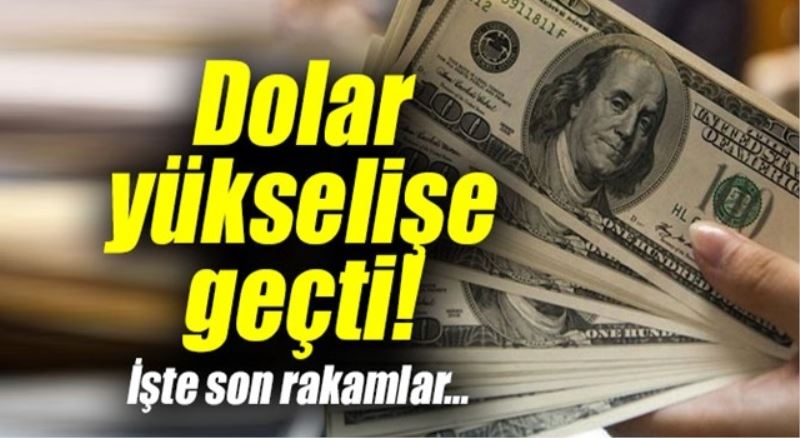 Dolar yükselişe geçti