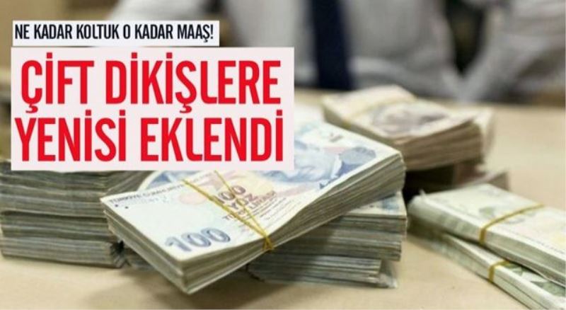 Ne kadar koltuk o kadar maaş...