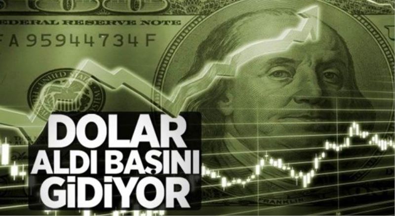 Dolar 9,10