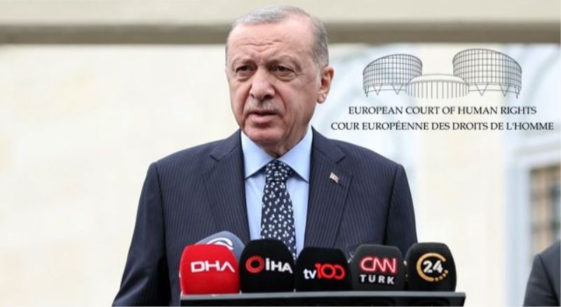 Erdoğan’ı eleştirmek hapisle cezalandırılamaz