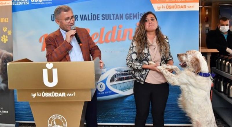 Hayvan dostlarına boğaz turu