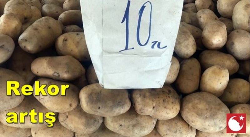Patates zam şampiyonu