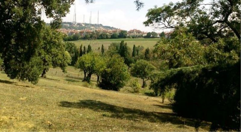 İBB, Üsküdar belediyesine ceza kesti