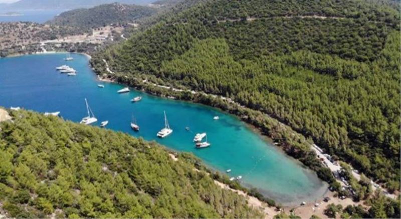 Devletin arazisine kaçak otel yapıldı!