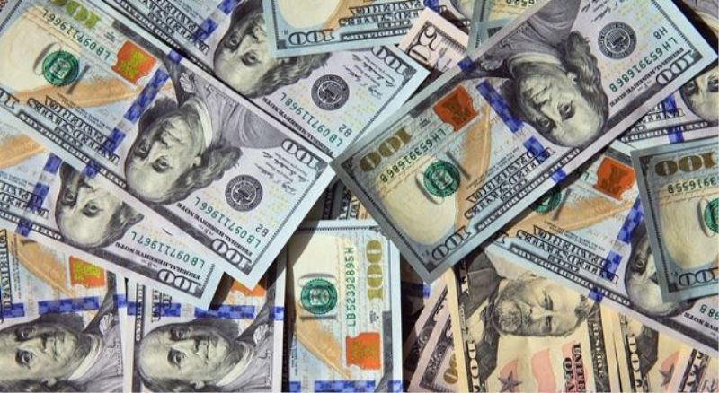Dolar yılın zirvesinde