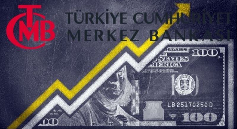 İktidar basını enflasyonu göremedi