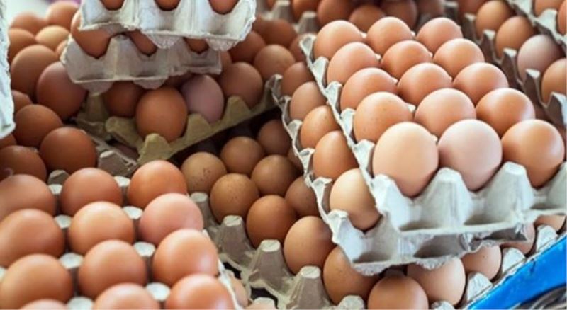 Türkiye yumurta ithalatına başlayabilir