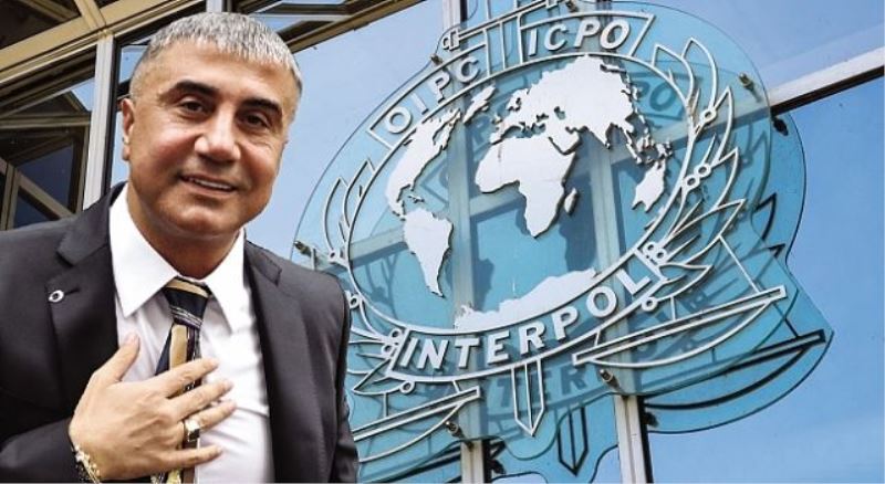 Sedat Peker tüm dünyada aranıyor