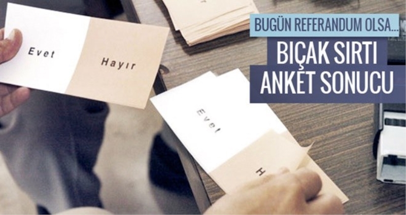 Son referandum anketi