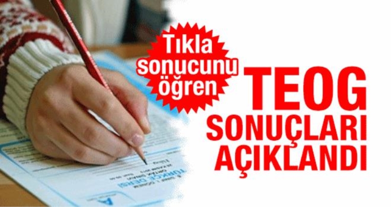 TEOG YEP sonuçları açıklandı