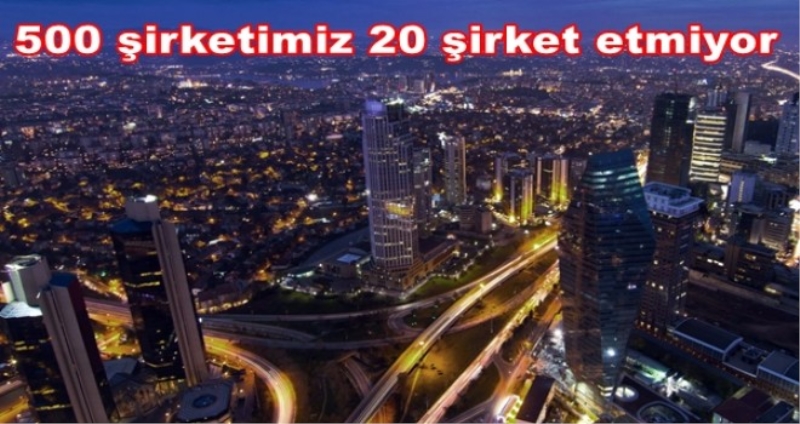 500 şirketimiz 20 şirket etmiyor