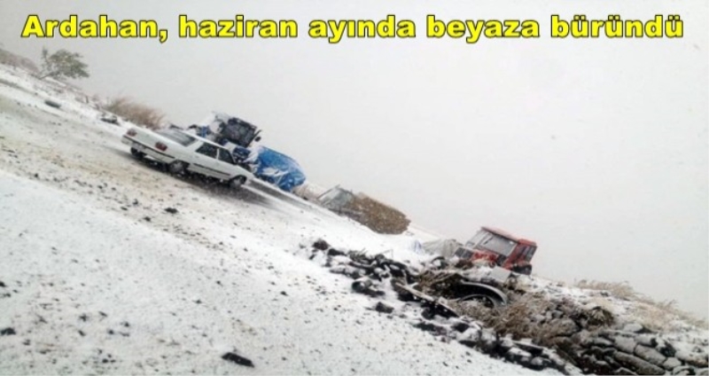 Ardahan, haziran ayında beyaza büründü