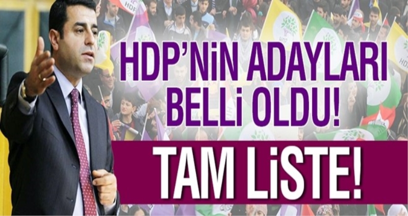 HDP milletvekili adayları listesi
