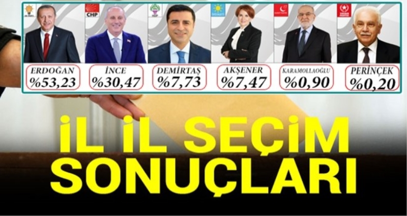 İl il seçim sonuçları