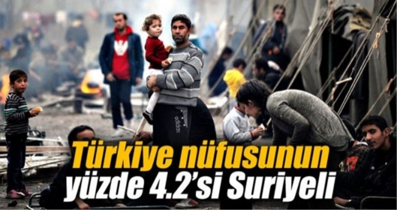 Türkiye nüfusunun yüzde 4.2